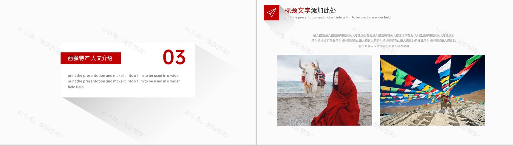 红色简约风西藏旅游景点介绍西藏习俗文化宣传PPT模板-10