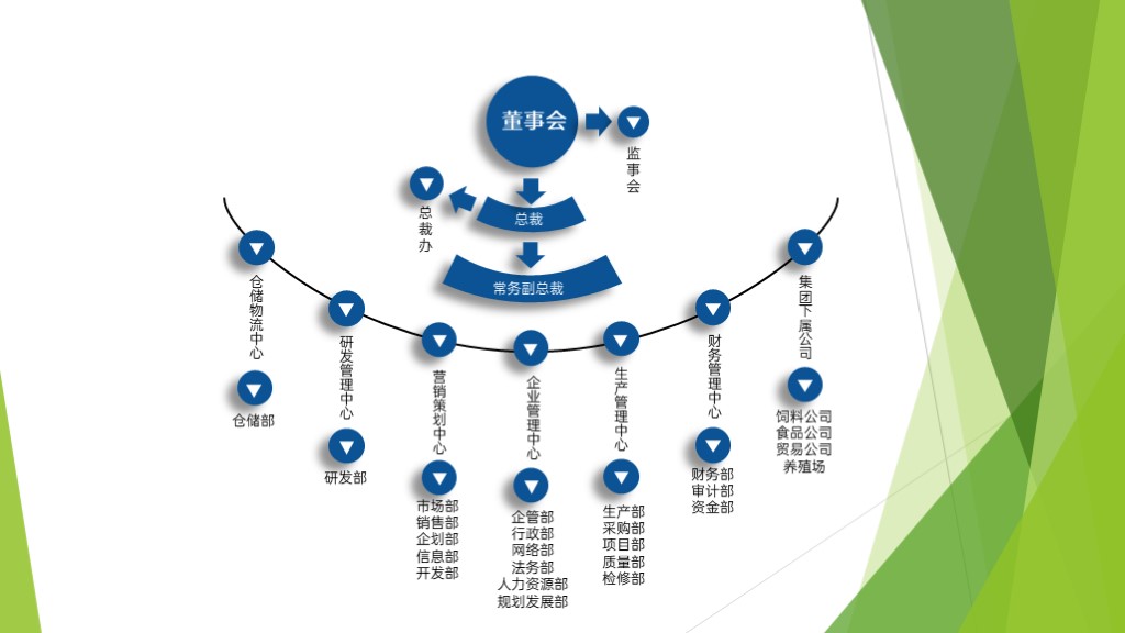 公司企业组织结构图PPT图表