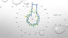 白色简约折线网状雷达图PPT图表